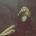 admirerear8's Avatar